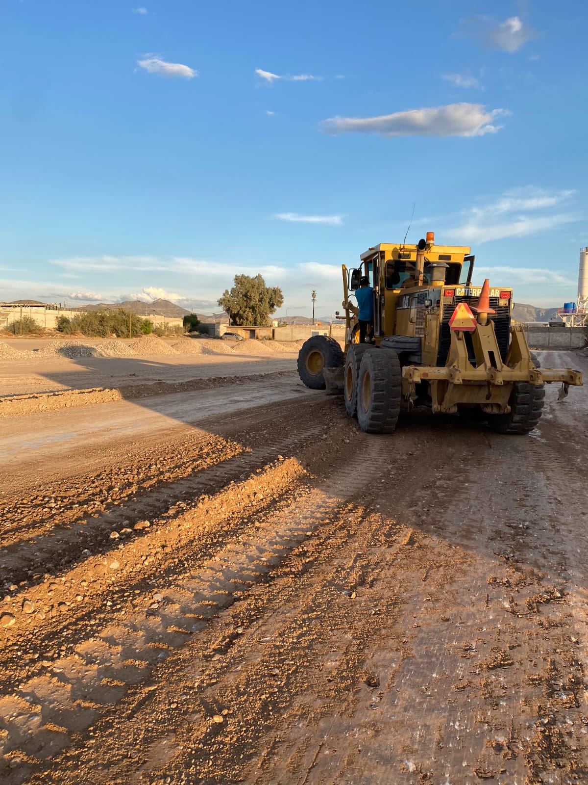 Servicio de Despalmes